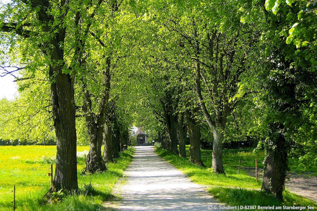 Landgasthof Drei Rosen Bernried am Starnberger See Exterior photo